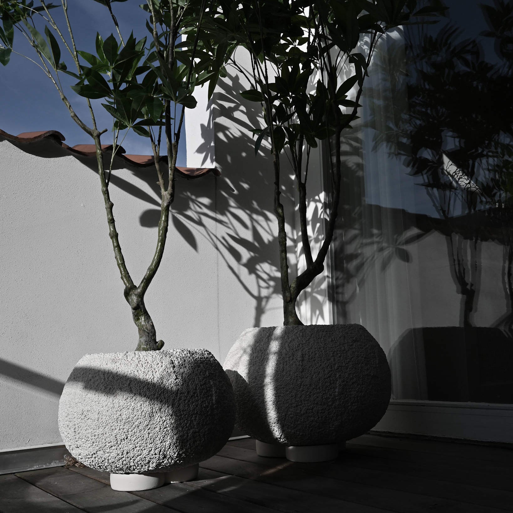Urchin Plant Pot, Big - Beehive