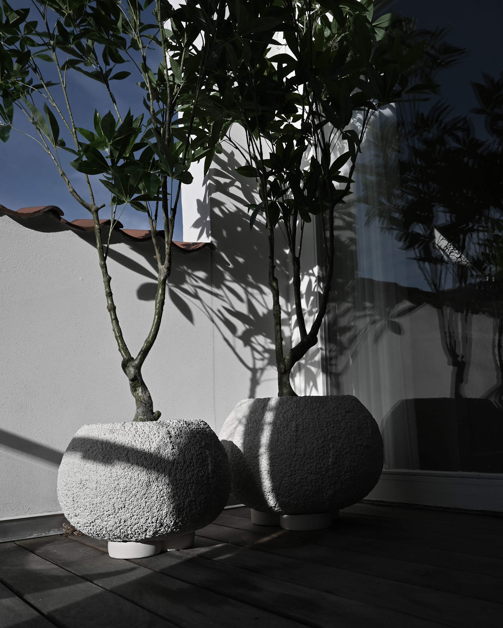 Urchin Plant Pot, Medio - Beehive