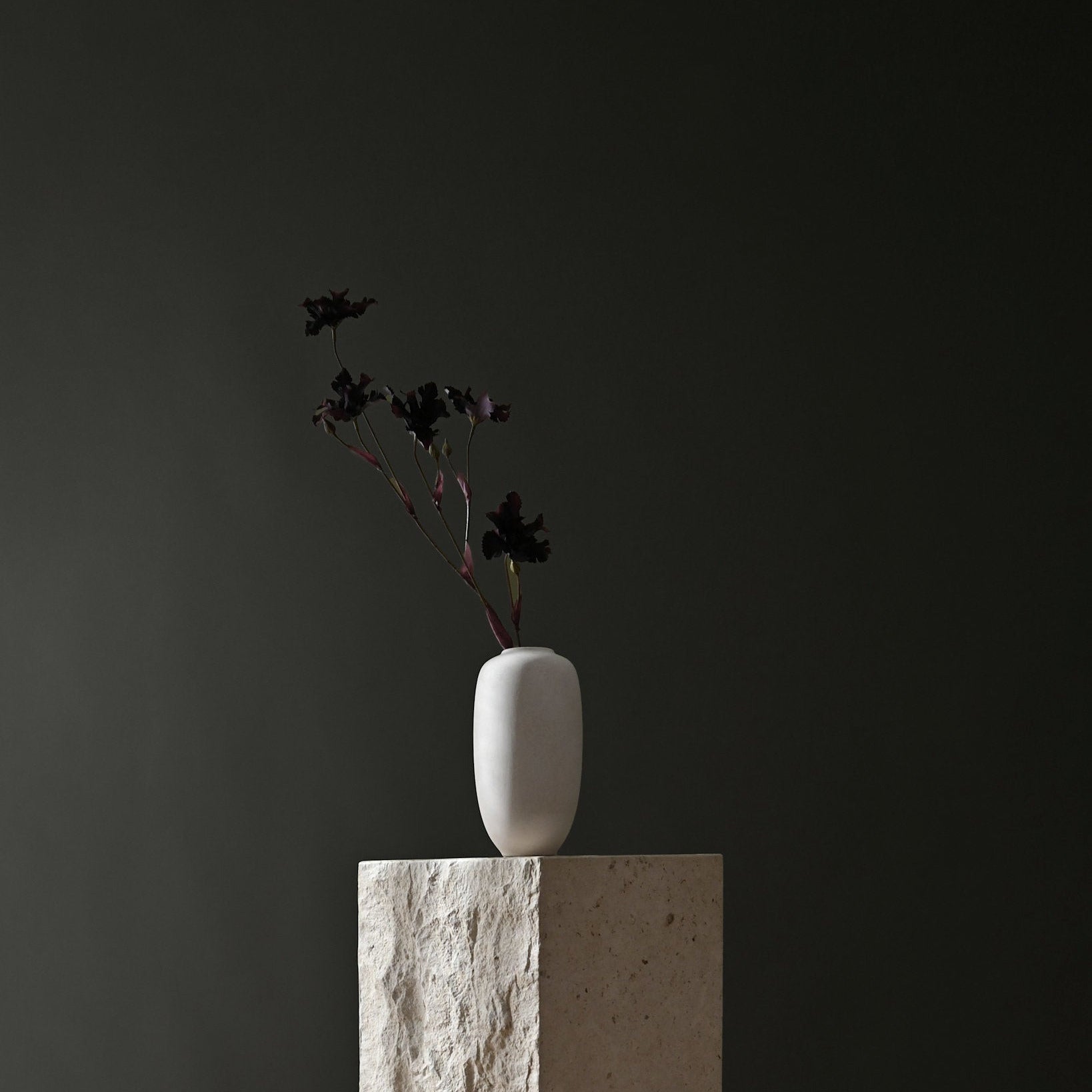 Sunao Vase Slim, Petit - Birch