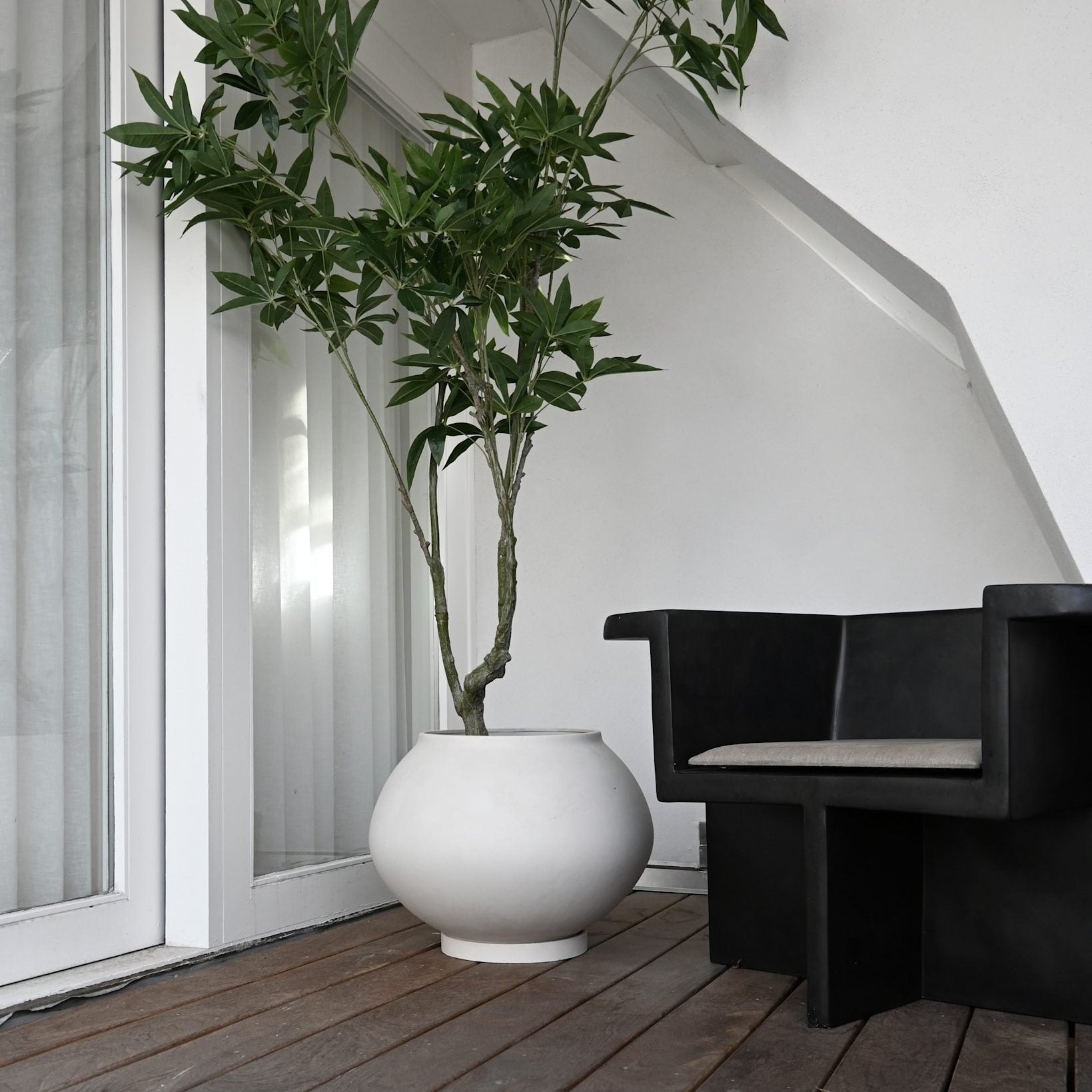 Sunao Plant Pot Fat, Hexa - Birch