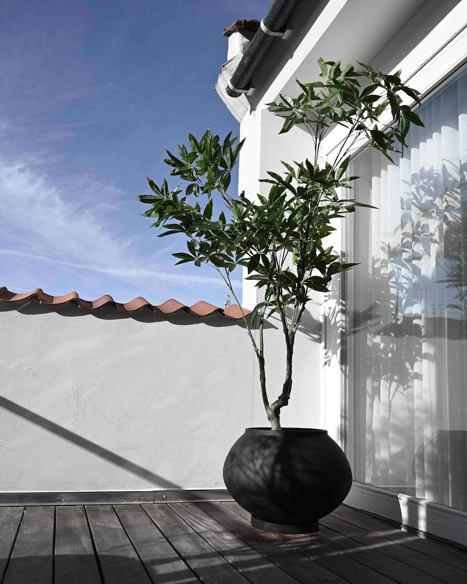 Sunao Plant Pot Fat, Hexa - Black