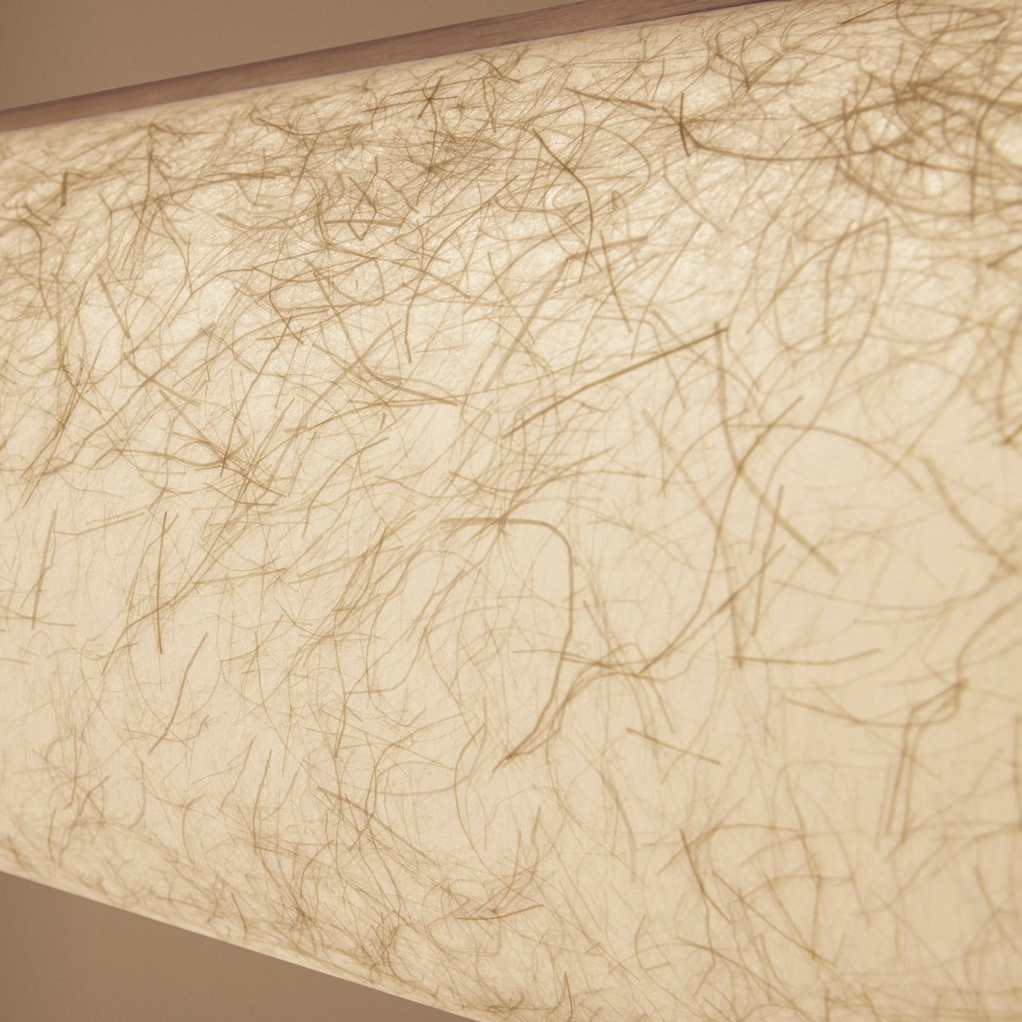 ENSO Pendant Raw 120 - Oiled Oak