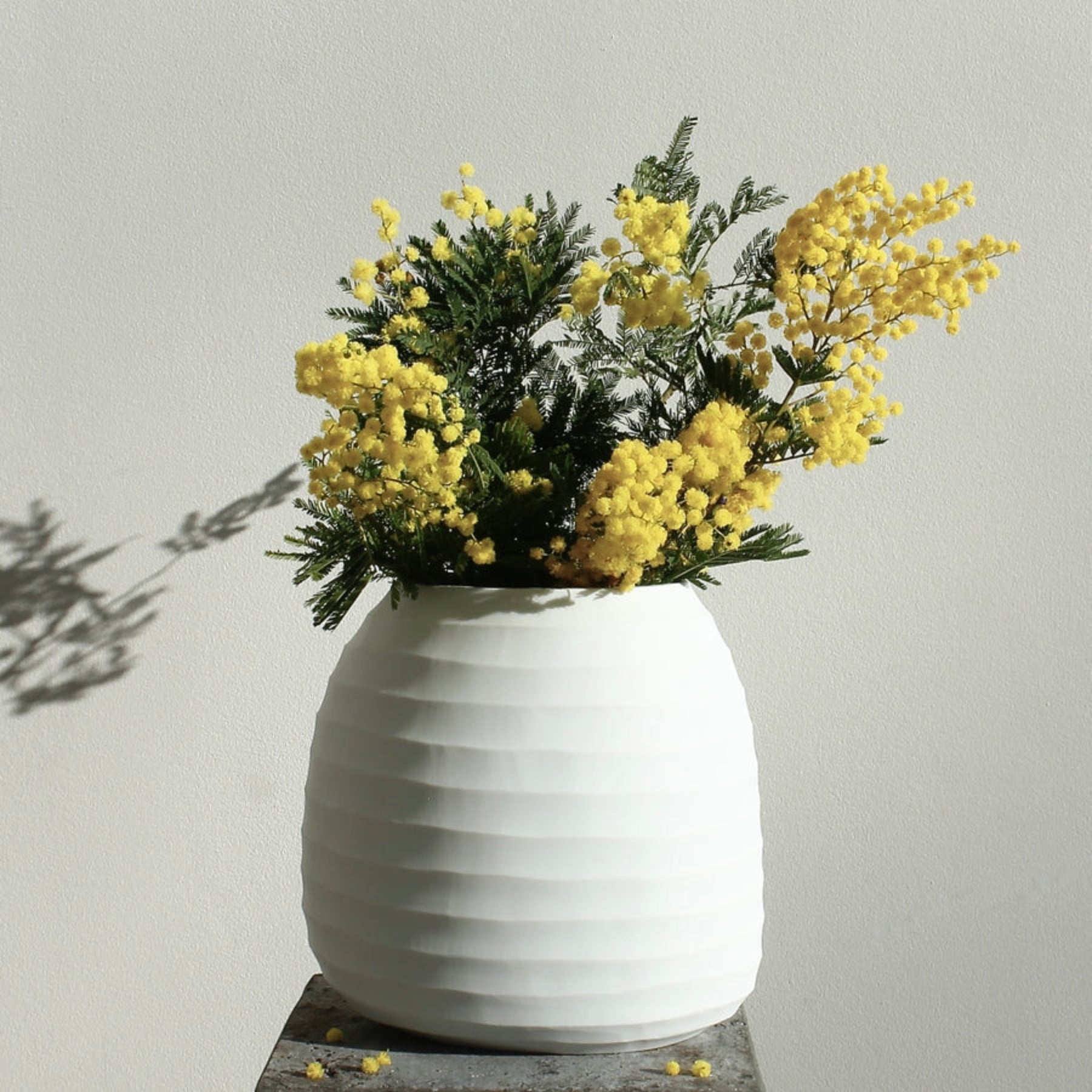 Organic vase 02 - white