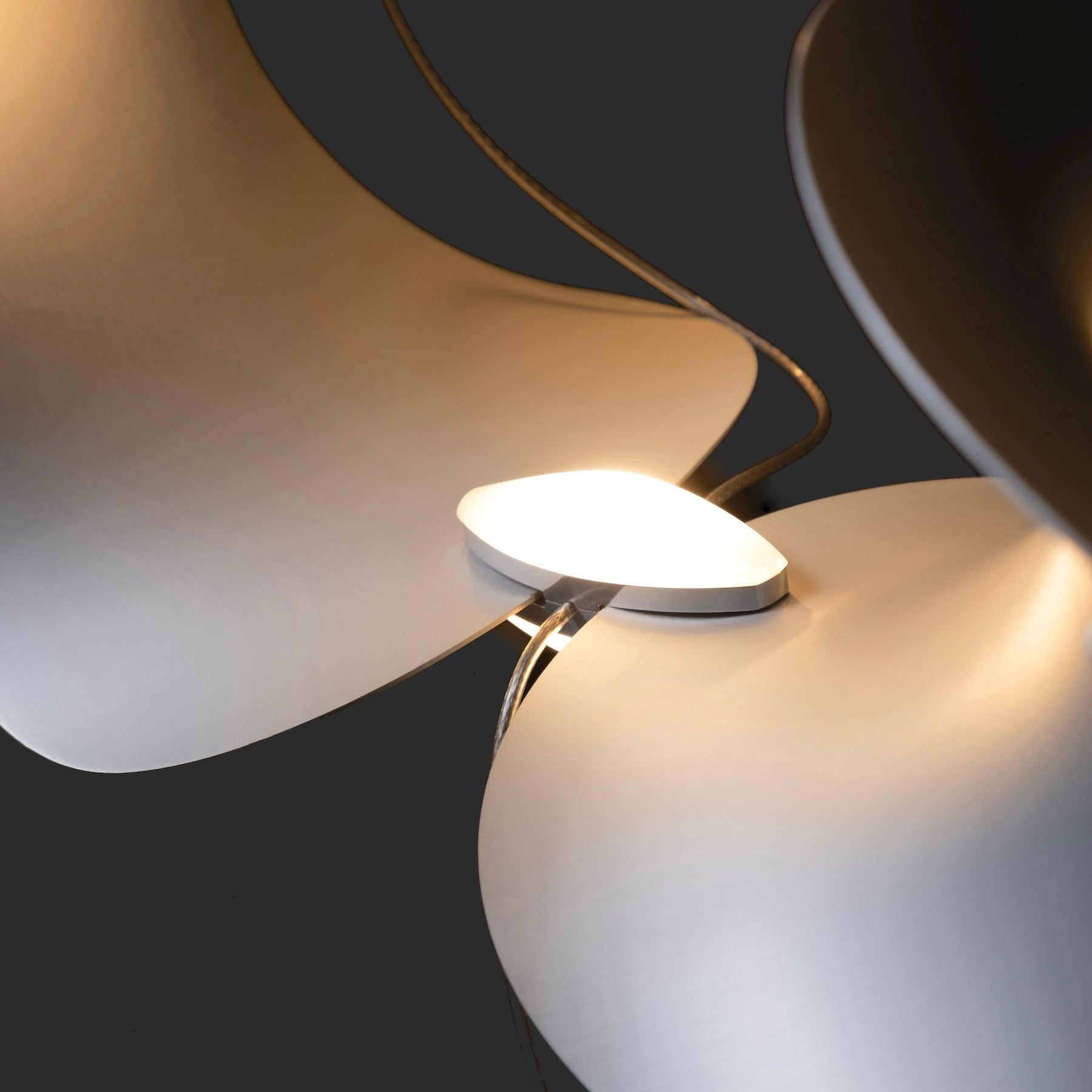 Dune 8 Curve Chandelier - 5 Finish Options