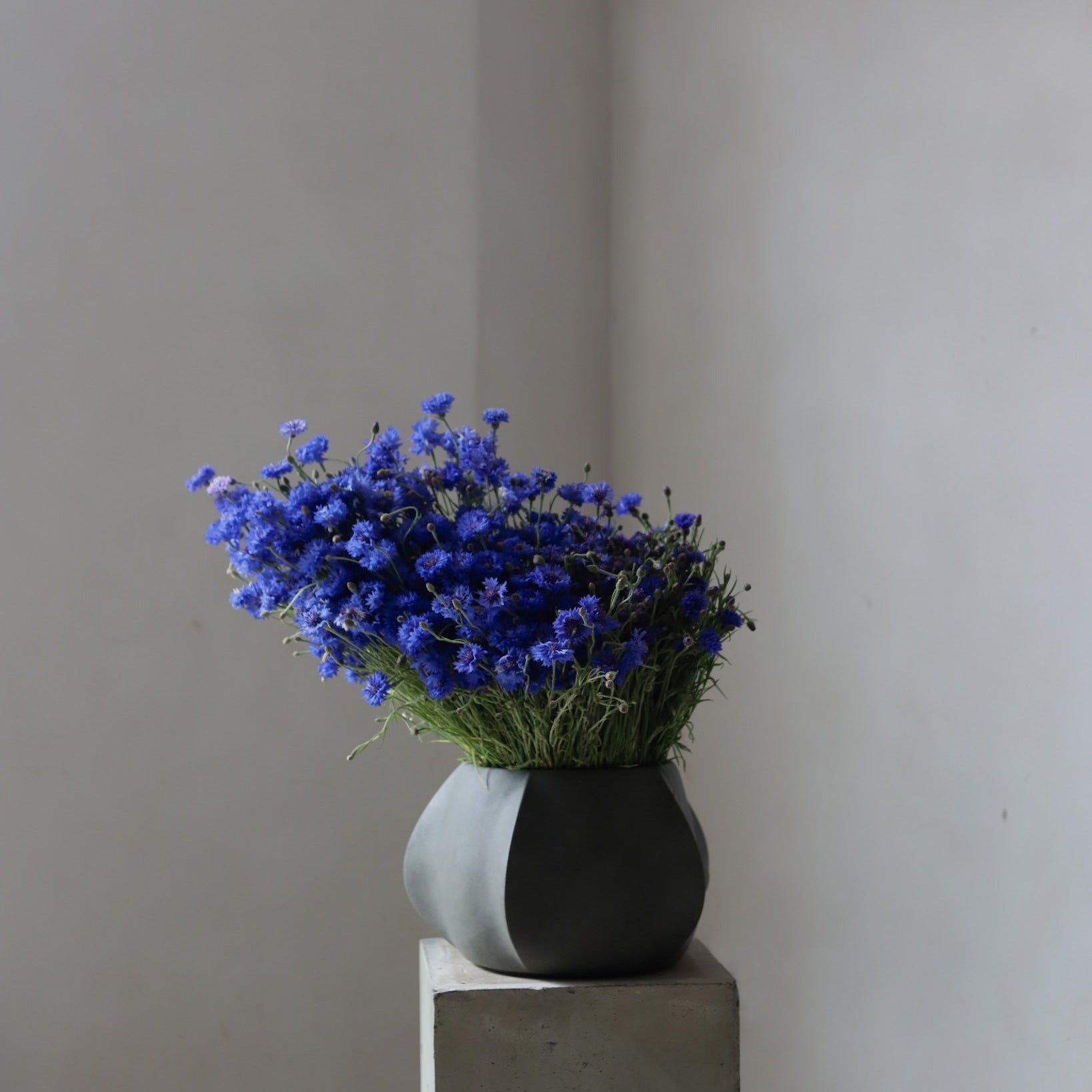 Arket Plant Pot, Medio - Dark Grey