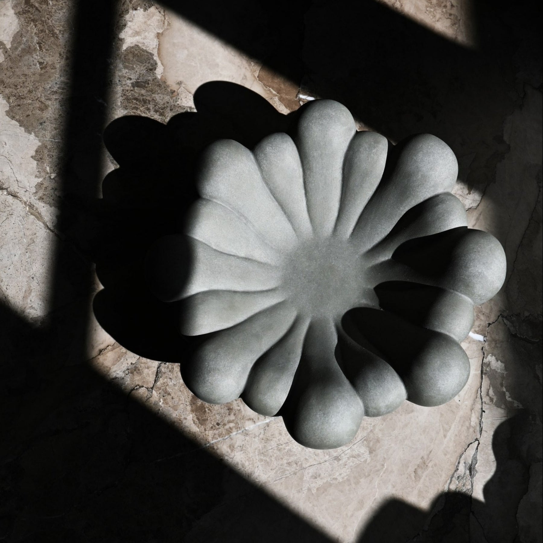 Bloom Tray, Medio - Dark Grey
