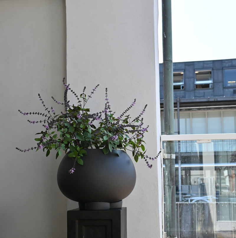 Urchin Plant Pot, Medio - Coffee - 101 CPH