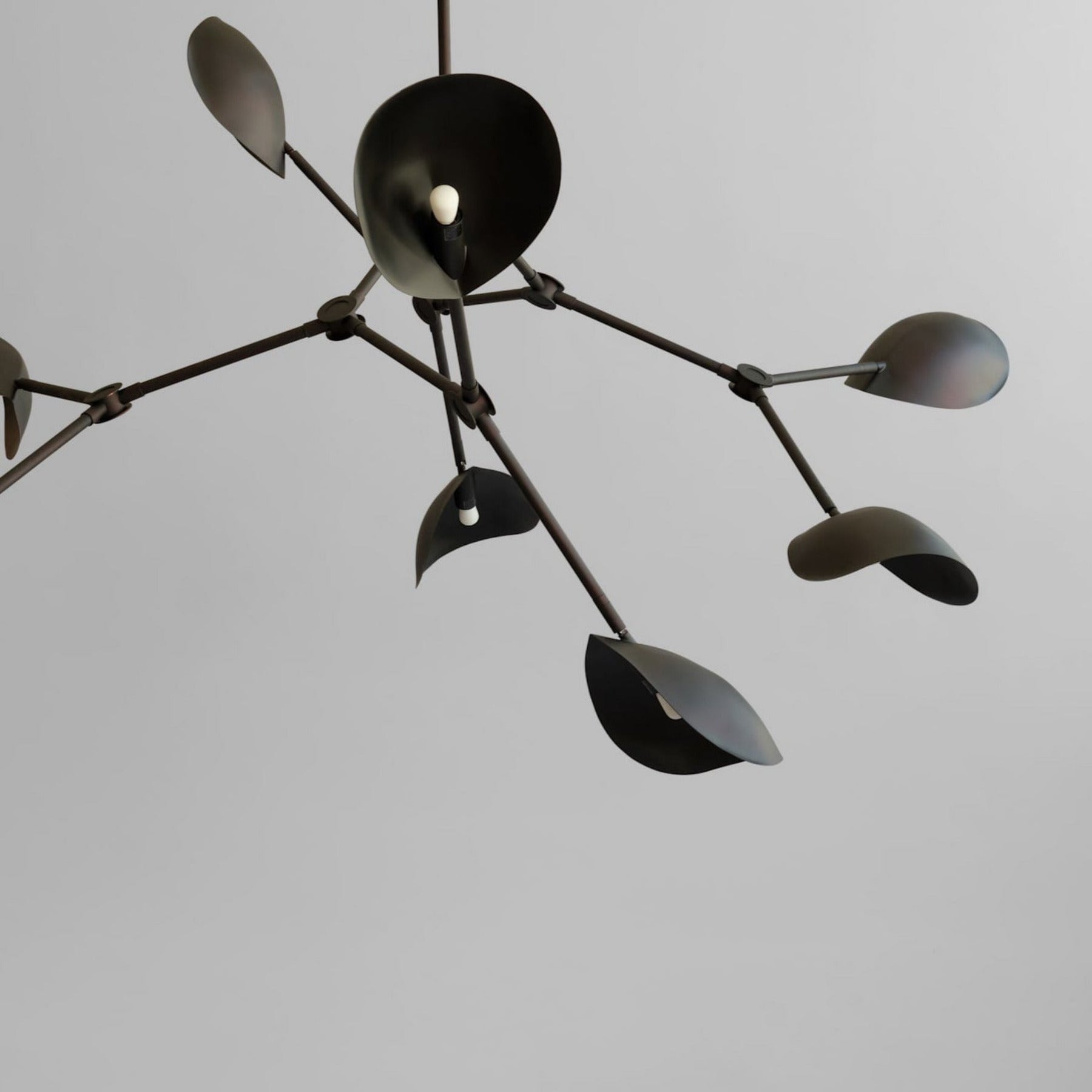 Stingray Chandelier, Grande - Burned Black with Rods