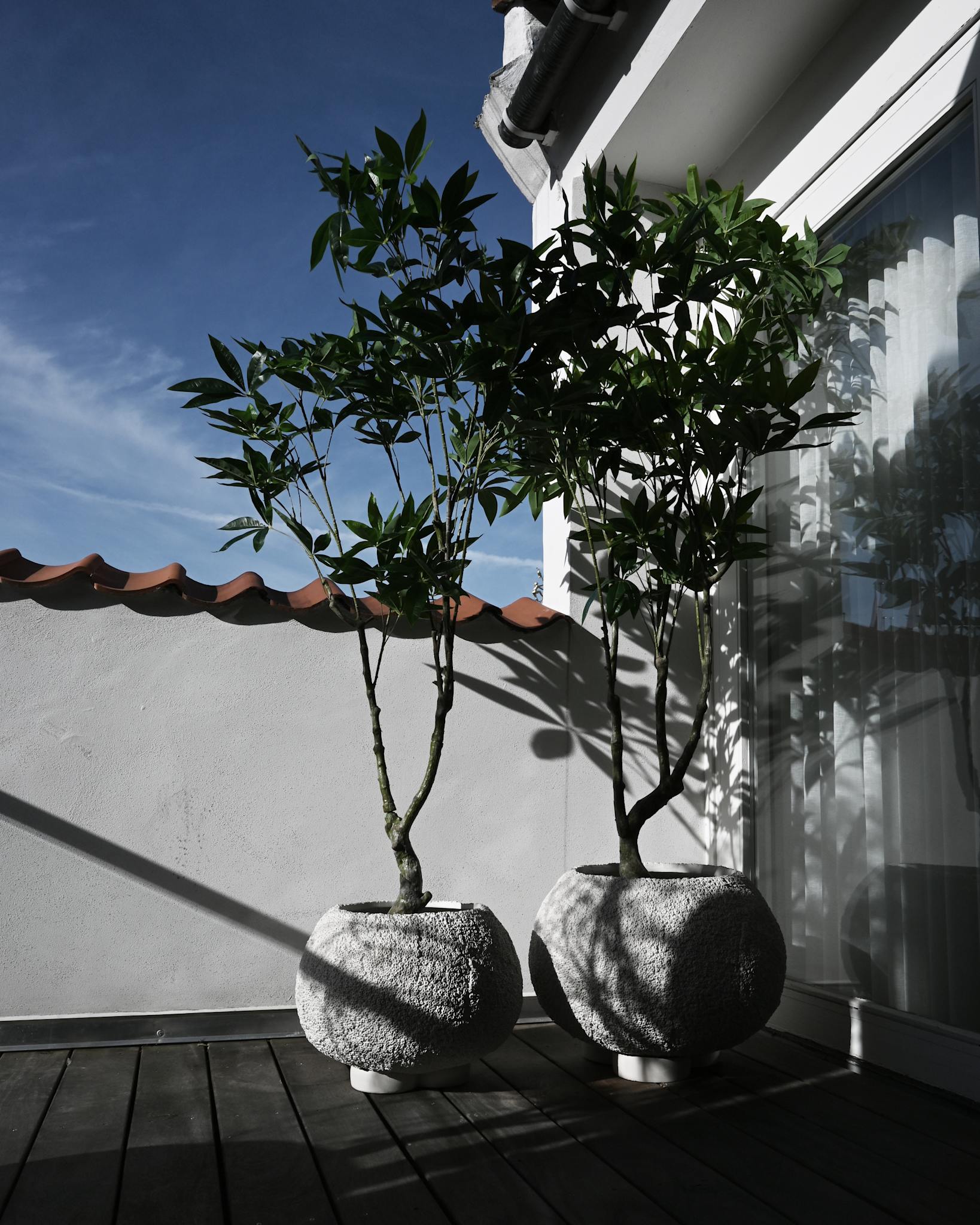 Urchin Plant Pot, Medio - Beehive*
