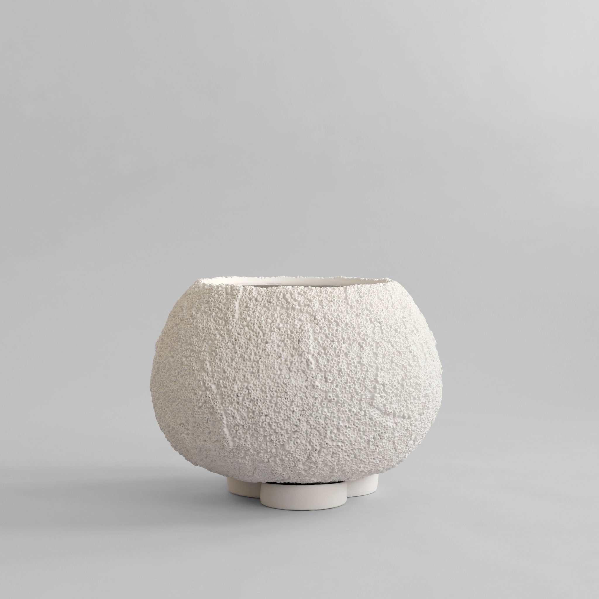 Urchin Plant Pot, Medio - Beehive*