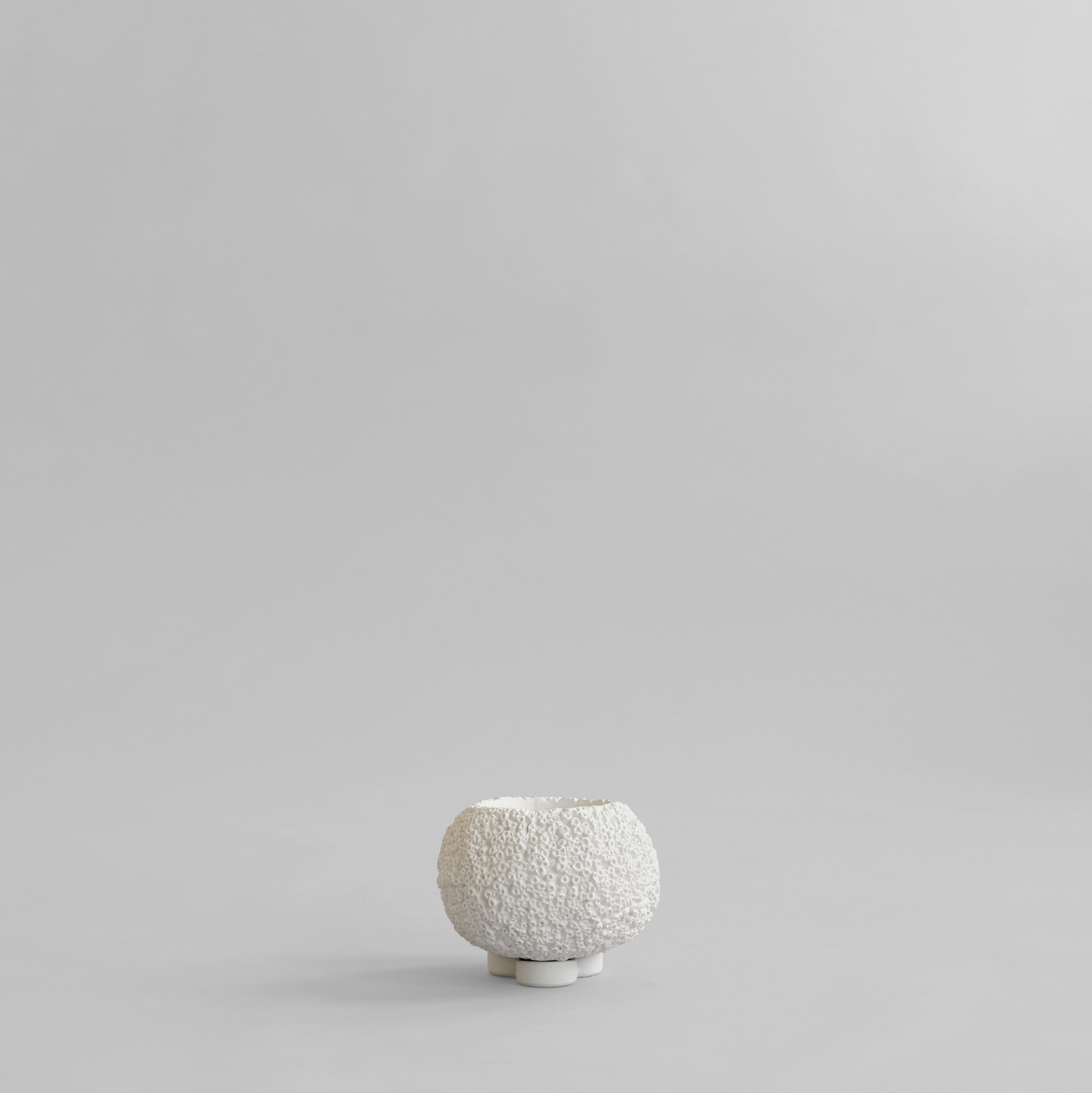 Urchin Plant Pot, Petit - Beehive*