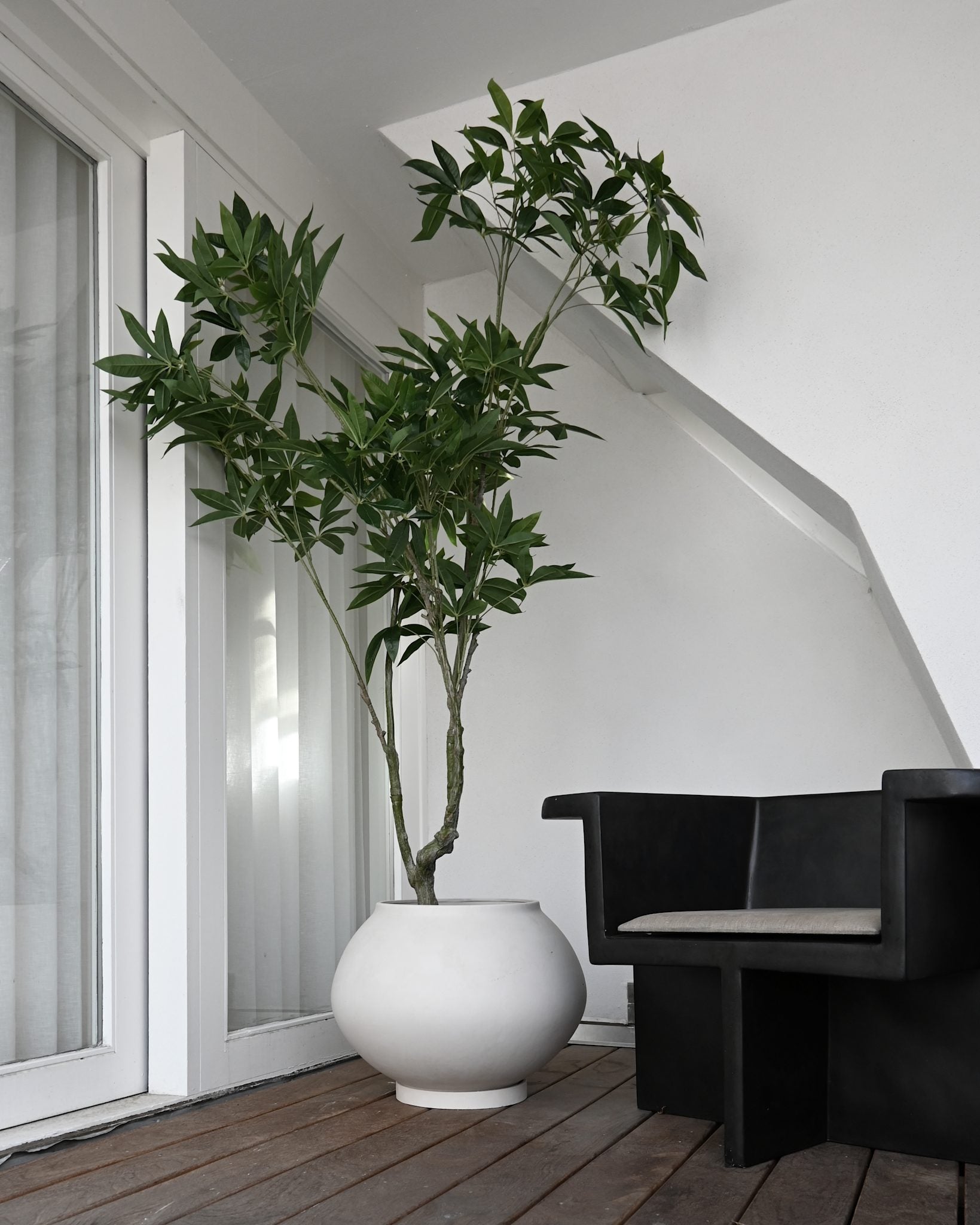 Sunao Plant Pot Fat, Hexa - Birch*