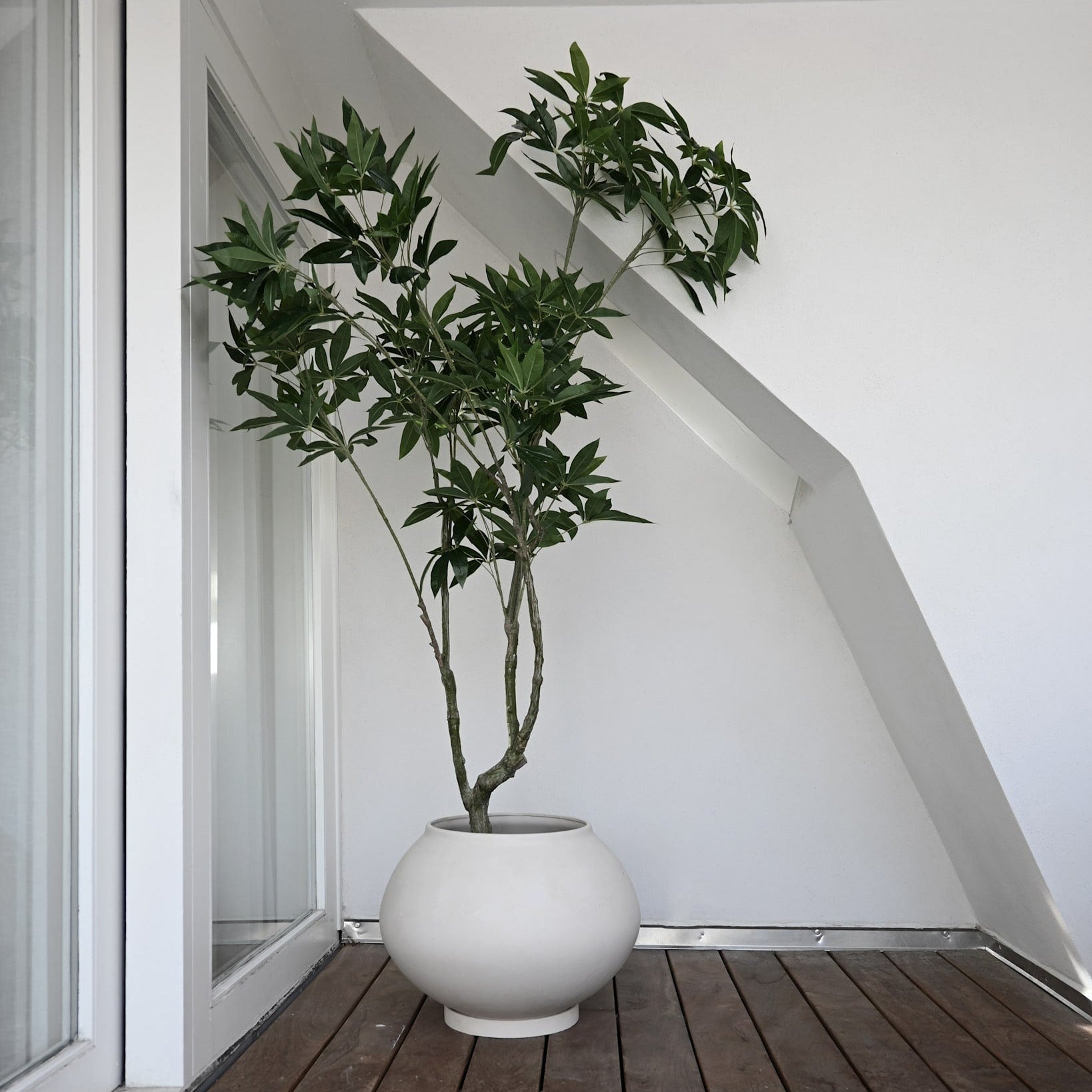 birch planter pot 101 Copenhagen Sunao Plant Pot Fat, Hexa
