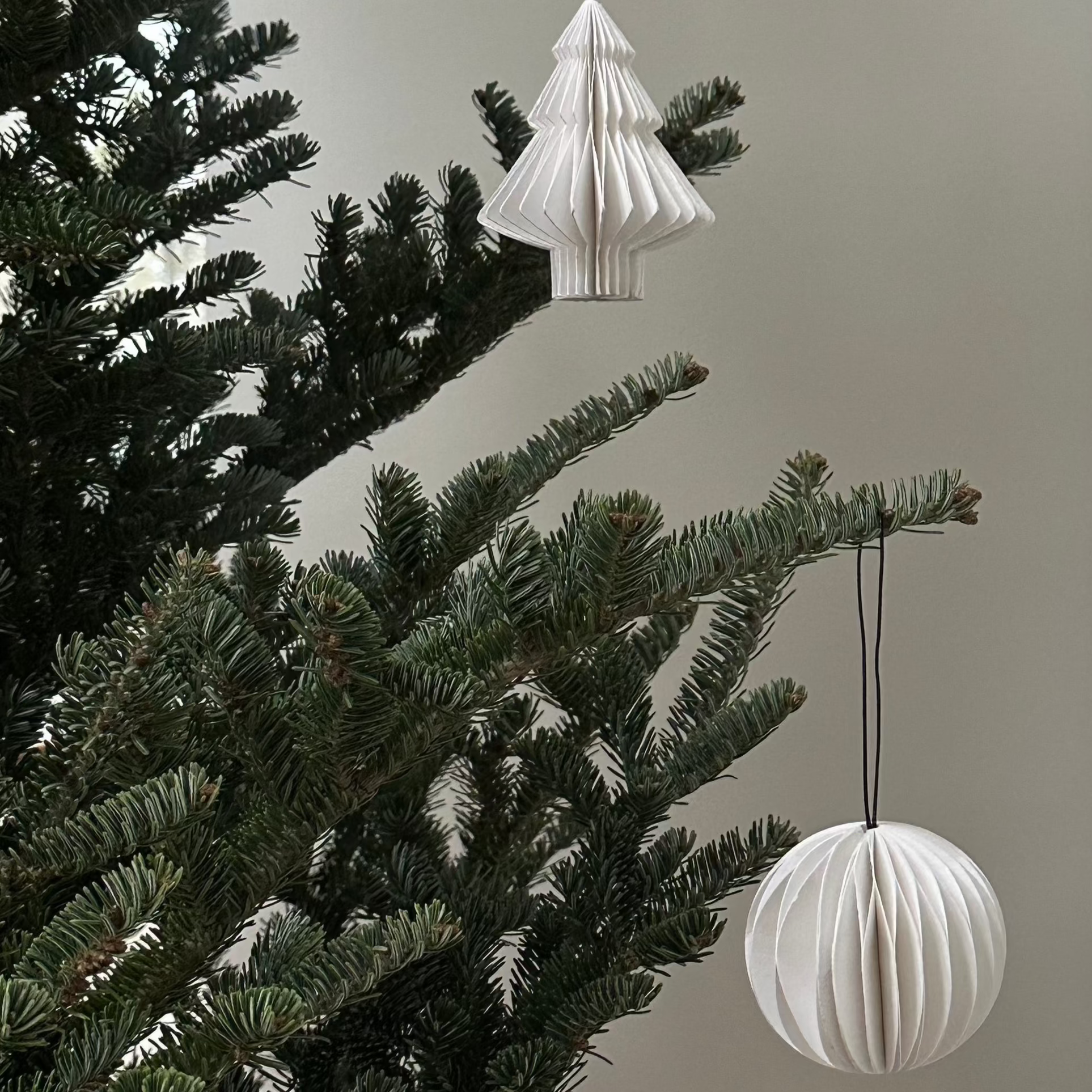 SUSTAIN folded ornament, scoop white. (box of 6)