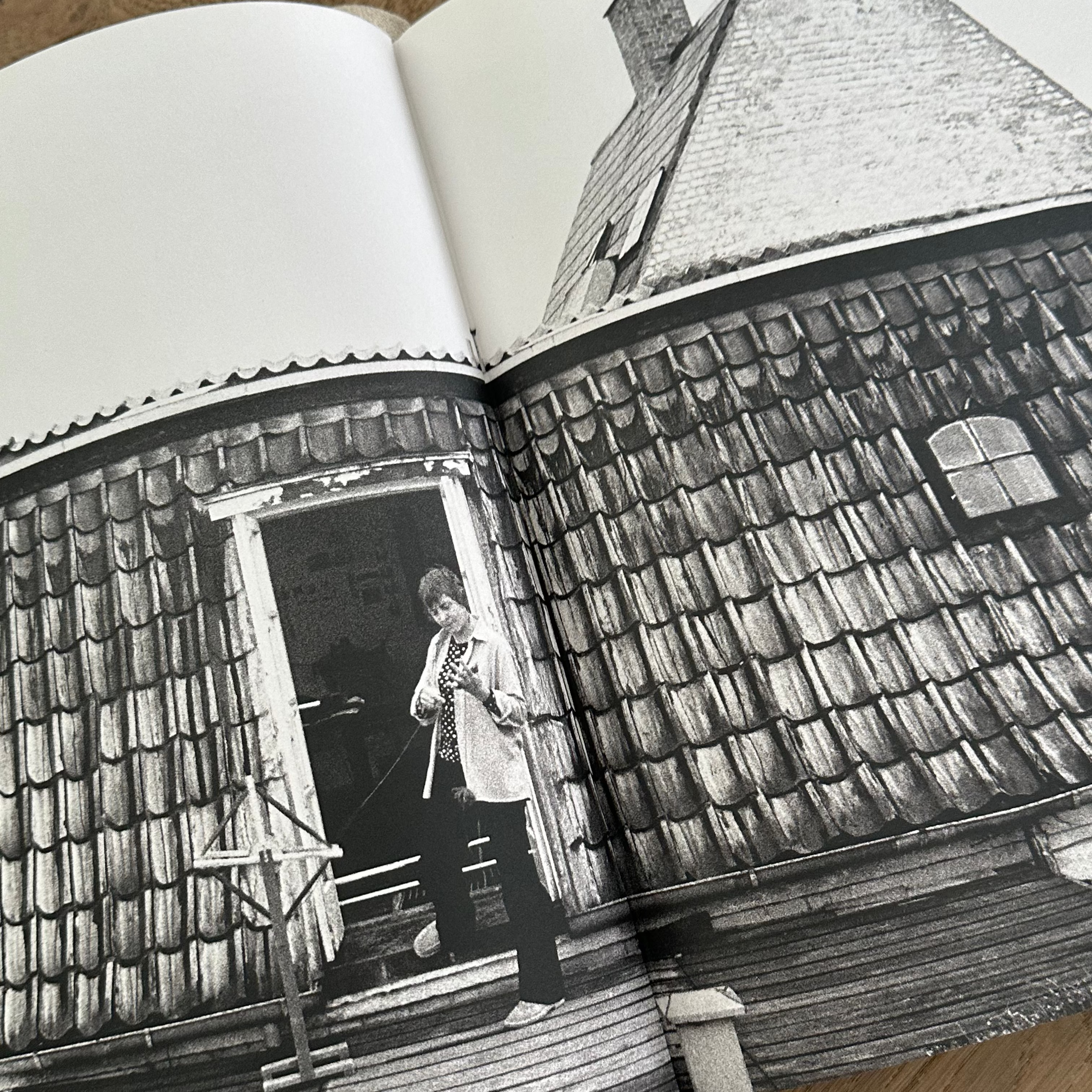 The World of Vibeke Klint book