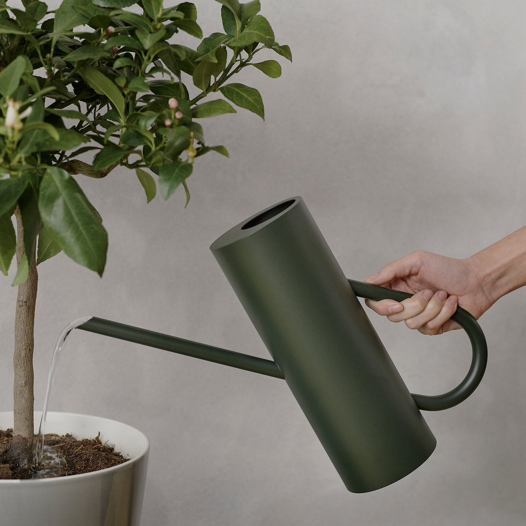 Bloom Watering Can - Pine Green