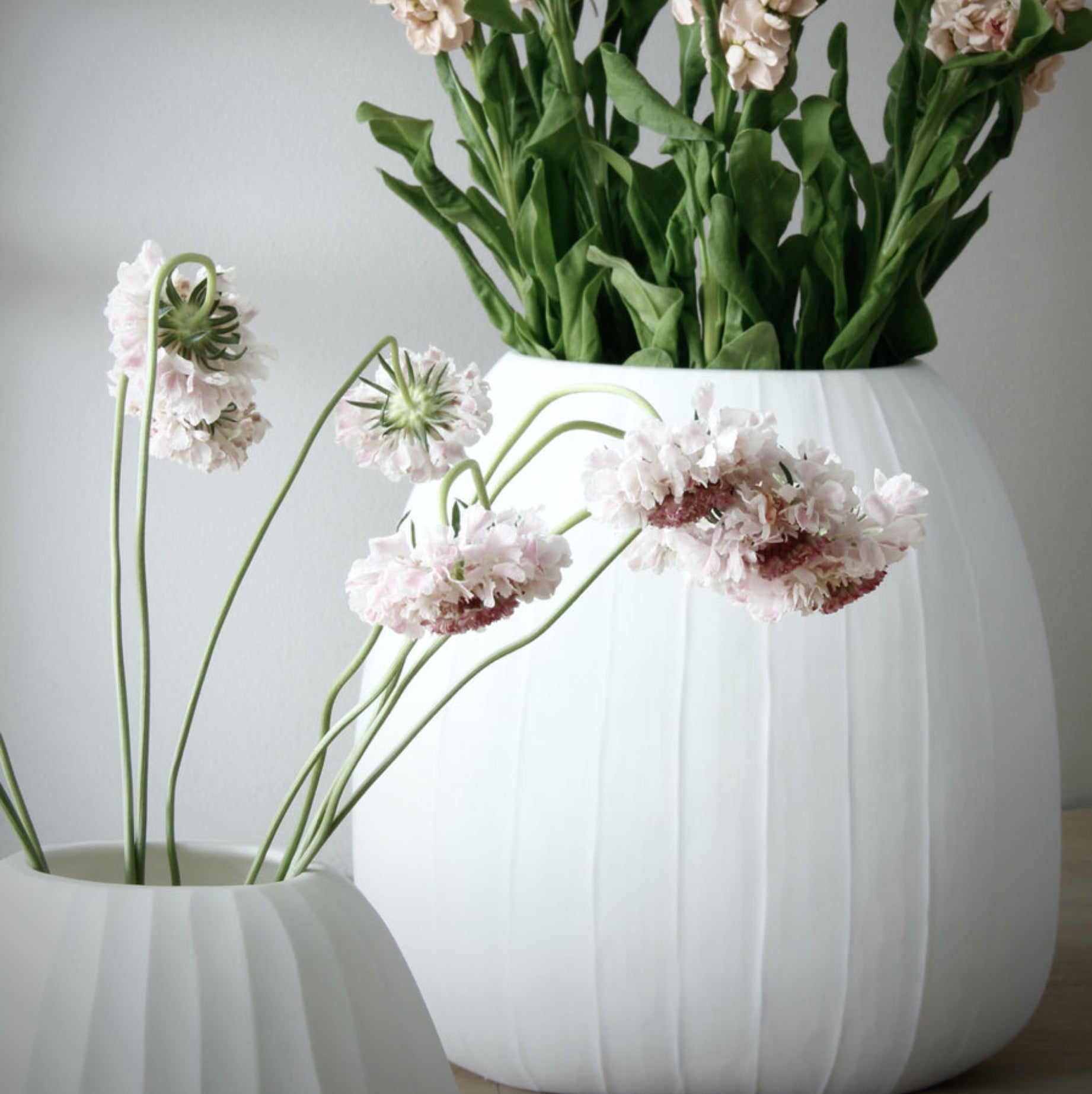 Organic vase 05 - white