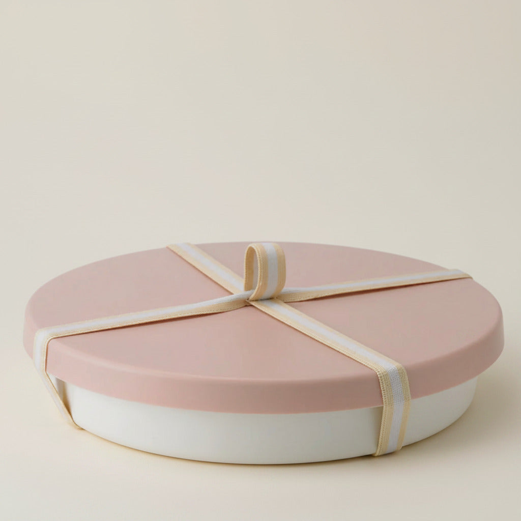 PICNIC cake pan with lid