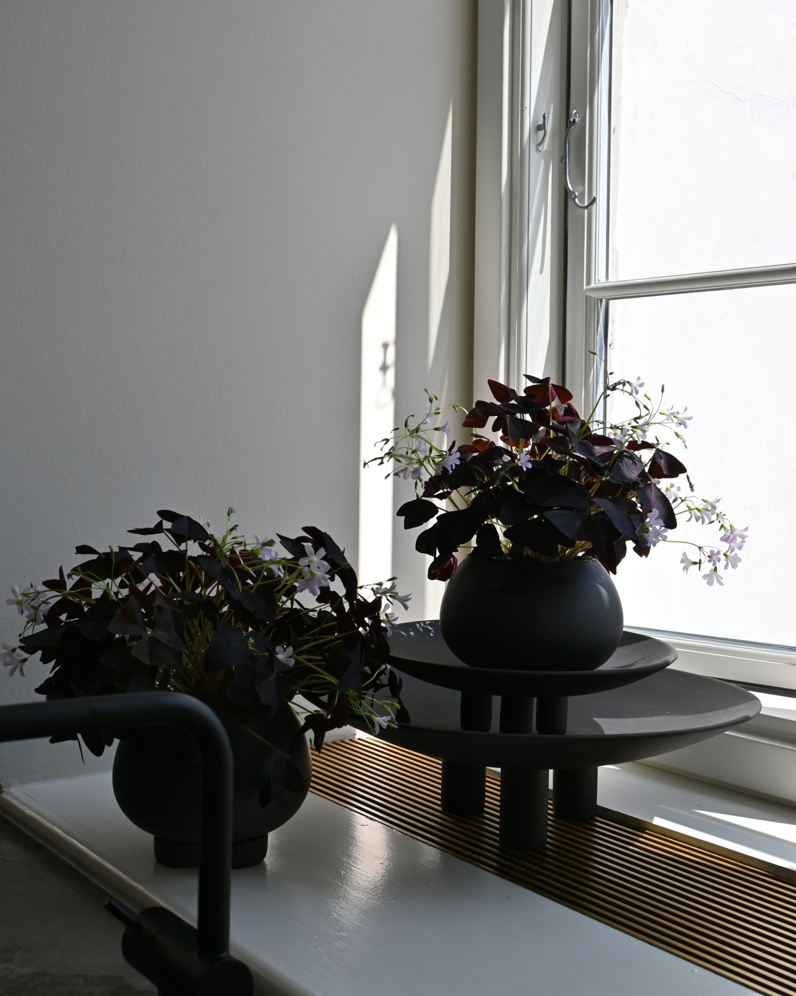 Urchin Plant Pot, Petit - Coffee - 101 CPH