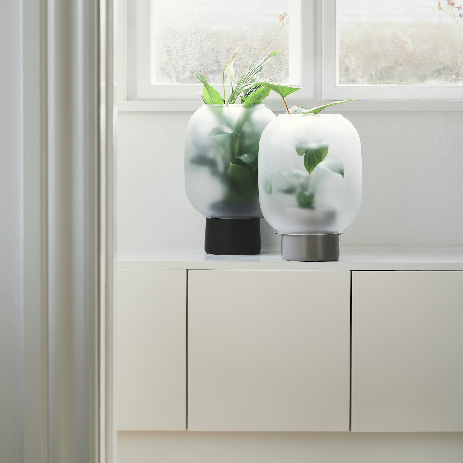 plant pot by nebl Gejst