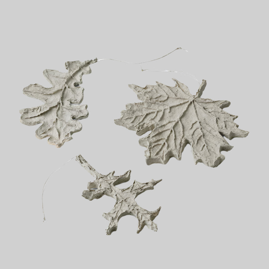 SUSTAIN set of leaves, nude grey (box of 6)