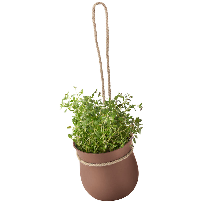 GROW-IT herb pot - terracotta